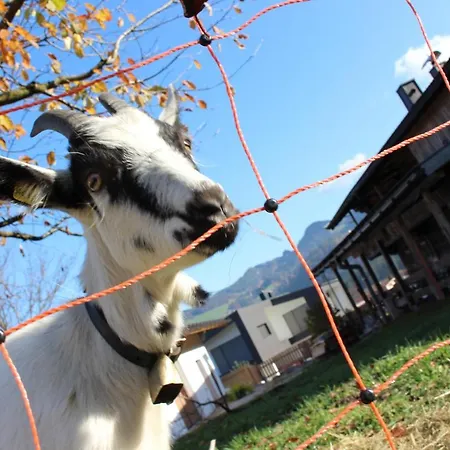 Сasa de vacaciones Weberhof Reith im Alpbachtal