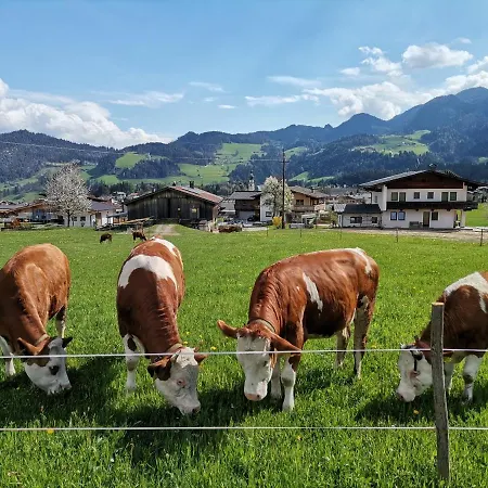 Weberhof Holiday home *
