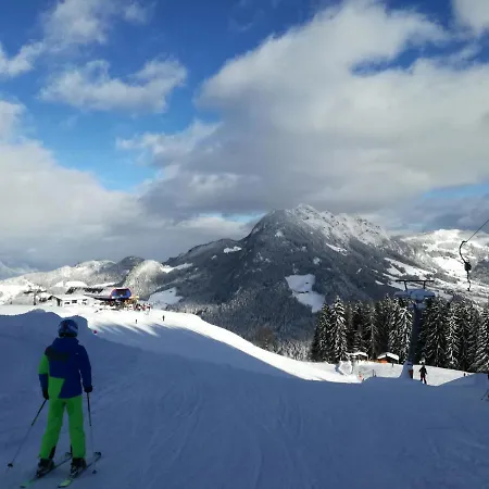 Weberhof Holiday home Reith im Alpbachtal