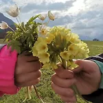 Weberhof Nyaraló *