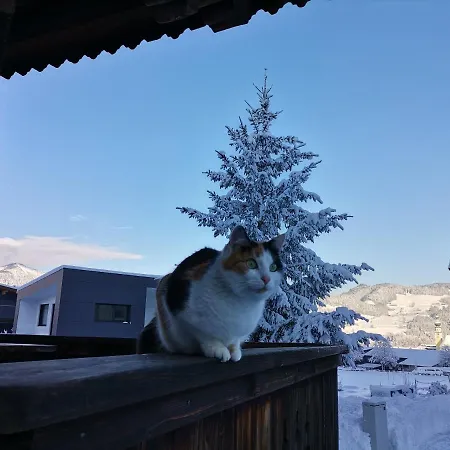Weberhof Feriehus Reith im Alpbachtal