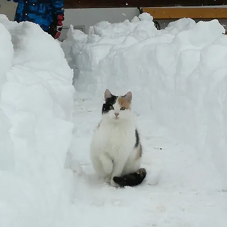 Weberhof Reith im Alpbachtal